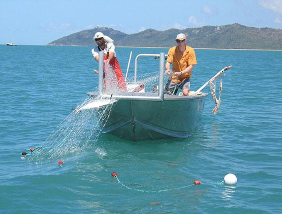 Knotted Nylon Fishing Net || Length 100 Feet, Height 6 Feet, Mess 65 mm, Twine 0.15