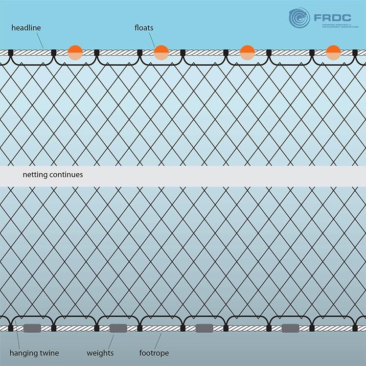 Knotted Nylon Fishing Net || Length 100 Feet, Height 6 Feet, Mess 65 mm, Twine 0.15