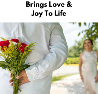 Elegant Climbing Rose Flower Seeds (Buy 1 Get 1 FREE + FREE Plant Booster)