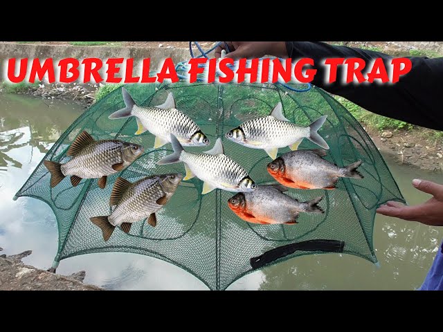 🎣Portable fishing Net–  Easy Catch for Fish, Crabs & More!